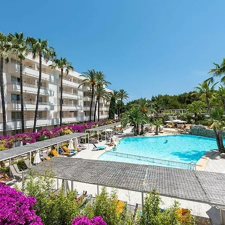 Rosella Cala Millor (Mallorca)